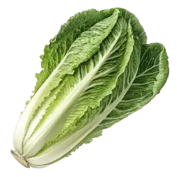 Imagen PNG para descargar